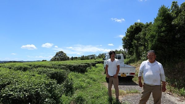 あまたま農園　水俣和紅茶　自然栽培　有機JAS