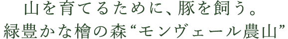 山を育てるために、豚を飼う。緑豊かな檜の森 “モンヴェール農山”