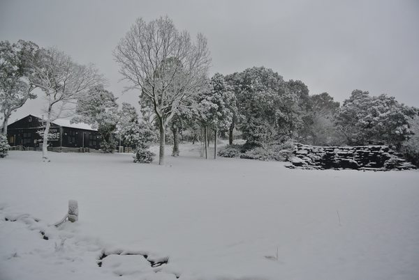 雪です☃️本日臨時休業させていただきます。