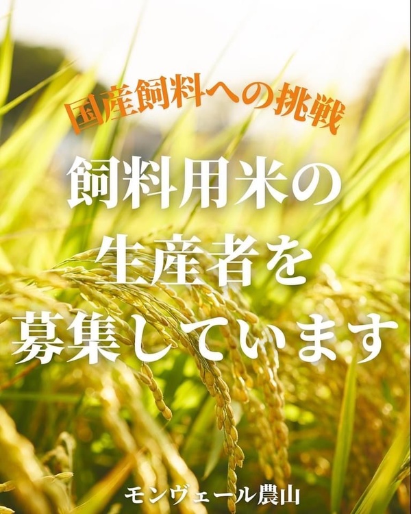 飼料用米等の生産者を募集しています！