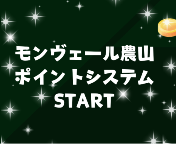 オンラインショップ🛍ポイントシステム導入✨