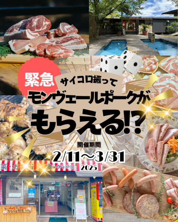 サイコロ振って全部無料？🎲✨