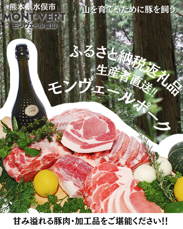 ふるさと納税のご案内✨